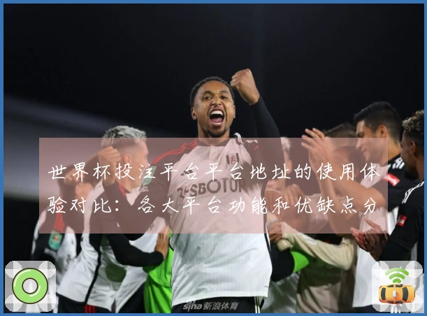 世界杯投注平台平台地址的使用体验对比：各大平台功能和优缺点分析