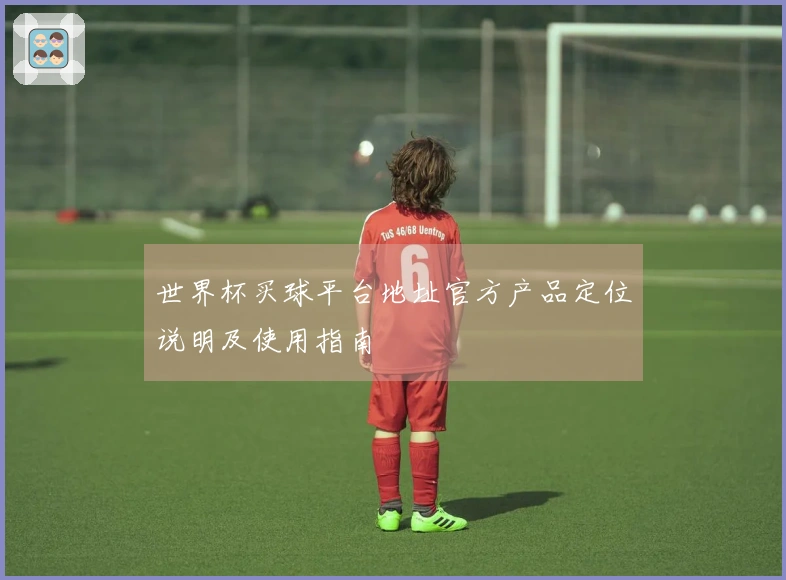世界杯买球平台地址官方产品定位说明及使用指南