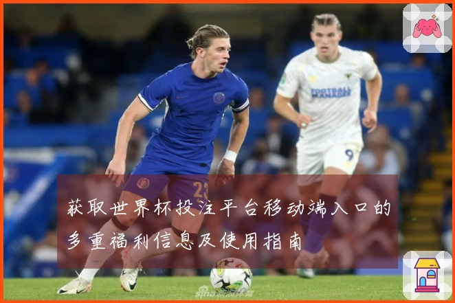 获取世界杯投注平台移动端入口的多重福利信息及使用指南