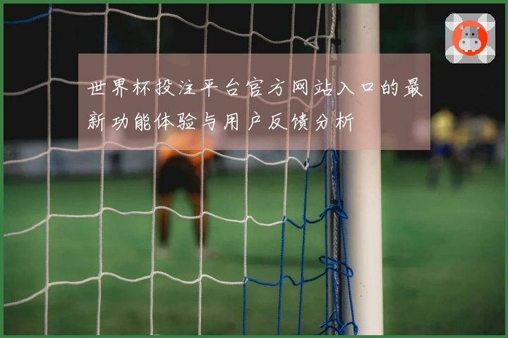 世界杯投注平台官方网站入口的最新功能体验与用户反馈分析