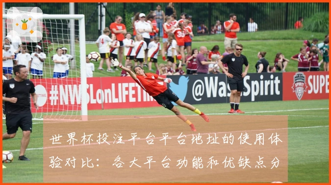 世界杯投注平台平台地址的使用体验对比：各大平台功能和优缺点分析