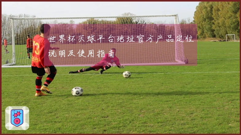 世界杯买球平台地址官方产品定位说明及使用指南