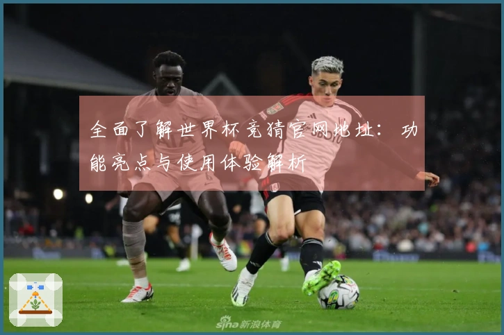 全面了解世界杯竞猜官网地址：功能亮点与使用体验解析