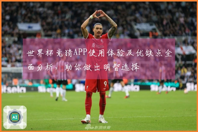 世界杯竞猜APP使用体验及优缺点全面分析,助你做出明智选择