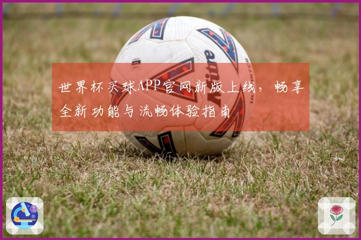 世界杯买球APP官网新版上线,畅享全新功能与流畅体验指南